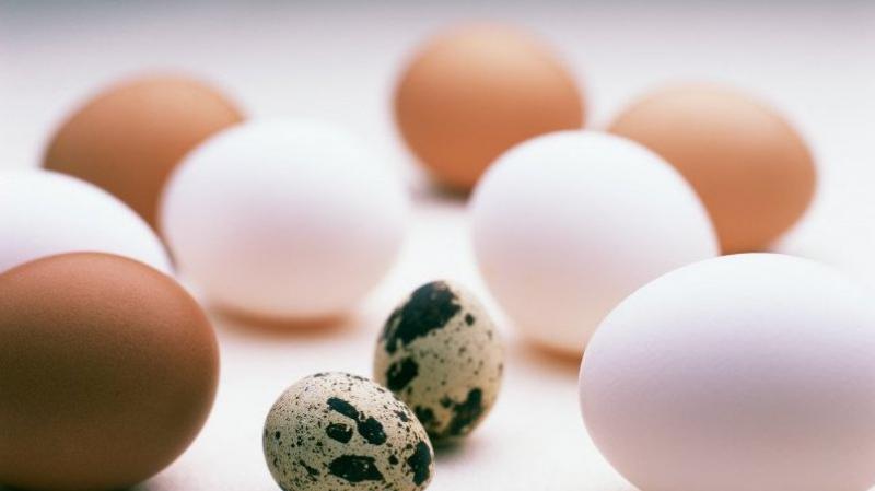 Как понять, испортилось ли яйцо Вареное яйцо или нет