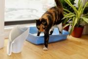 Что делать при запоре у кошки: лечение