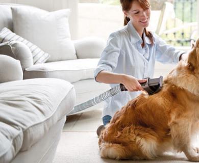 Как ухаживать за собакой: основные принципы ухода Как надо ухаживать за большой собакой