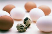 Как понять, испортилось ли яйцо Вареное яйцо или нет
